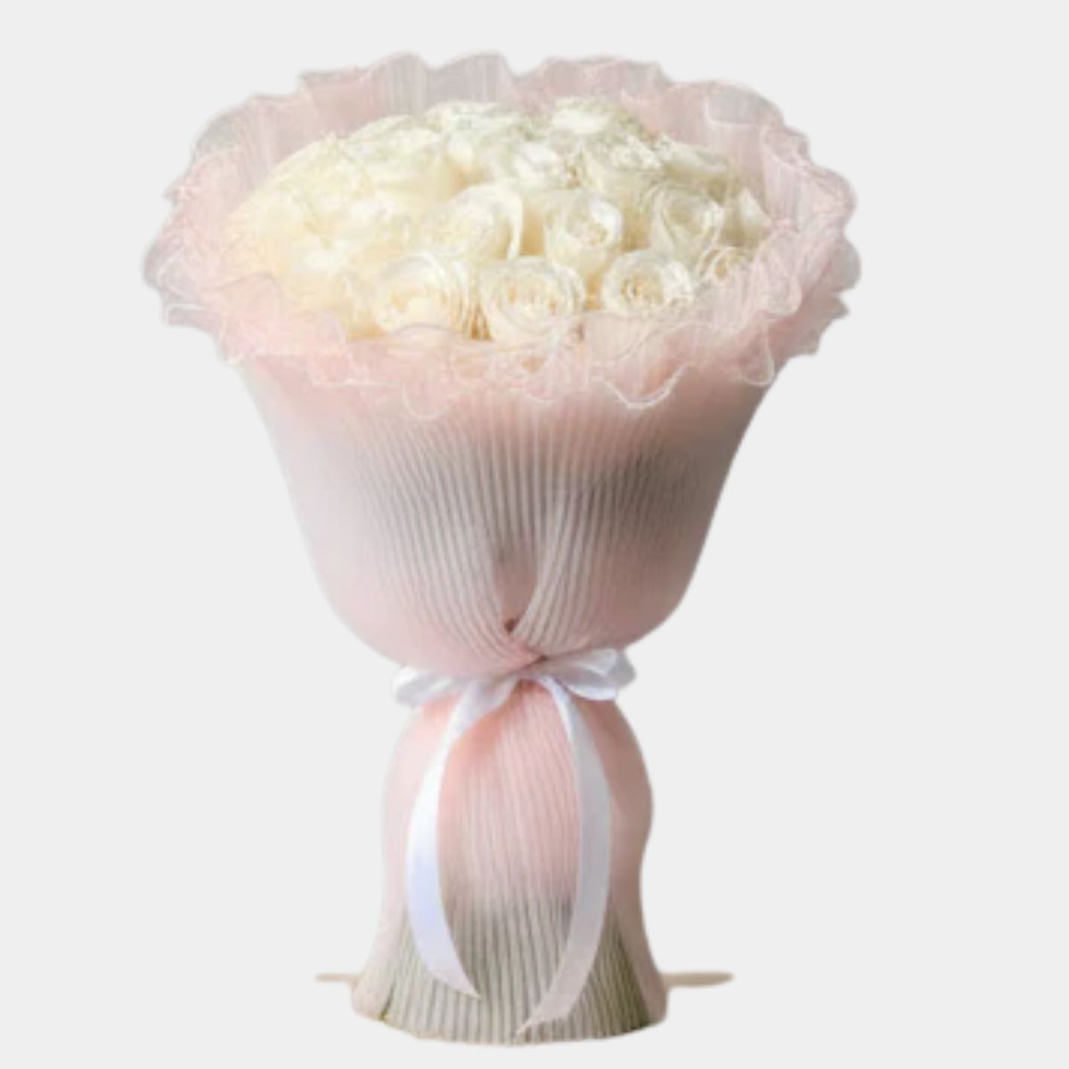 25 White Roses Pink Wrap