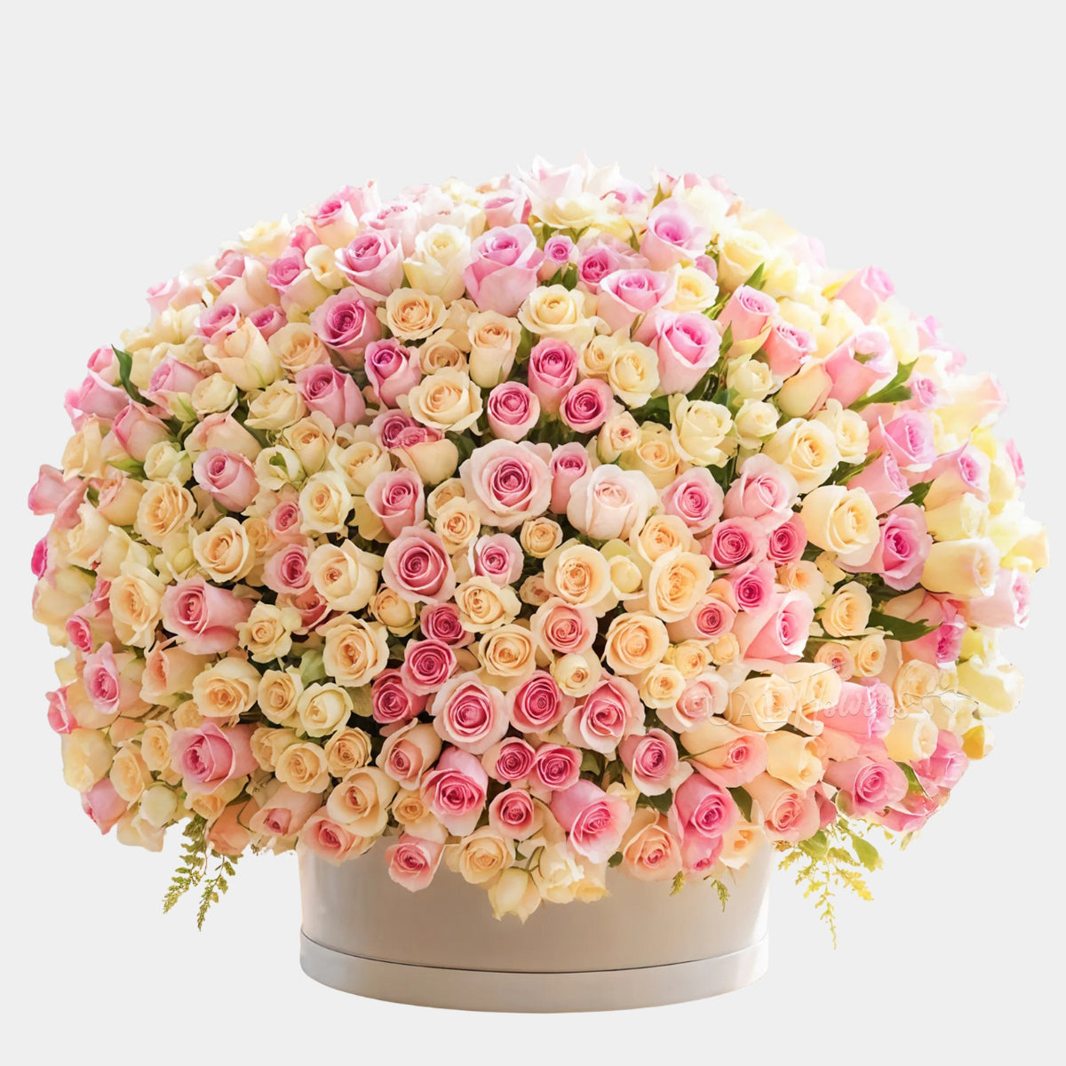 Pink Rose Splendor Flower Box