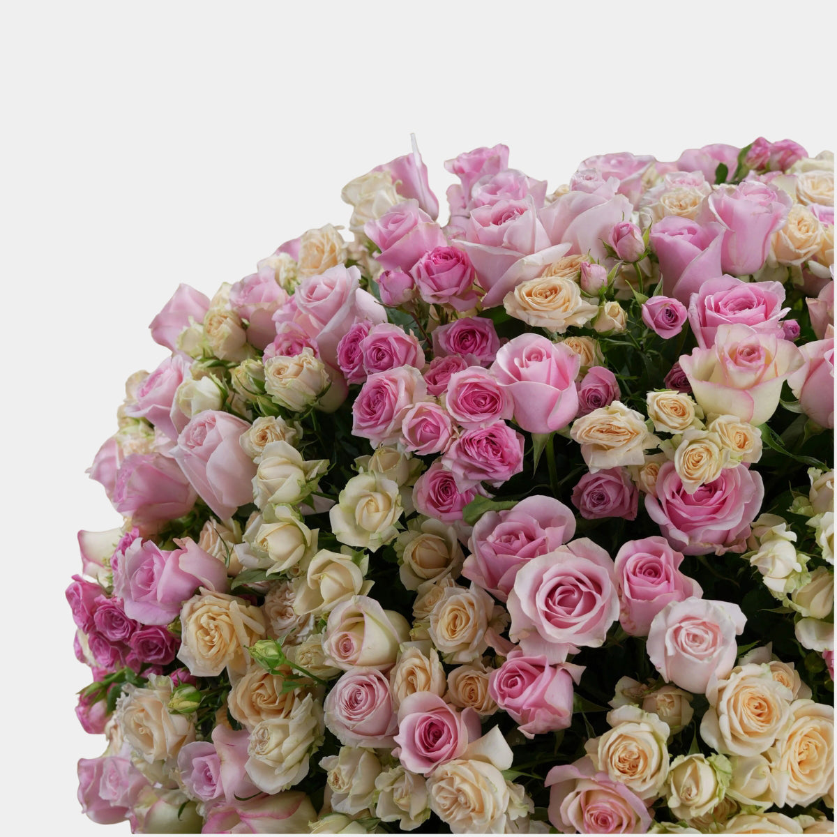 Pink Rose Splendor Flower Box