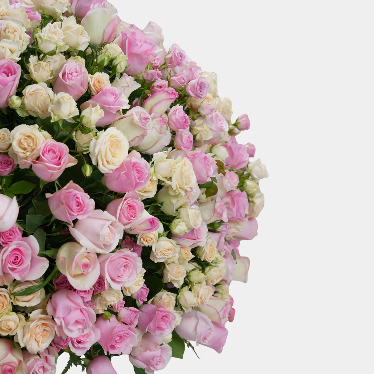 Pink Rose Splendor Flower Box
