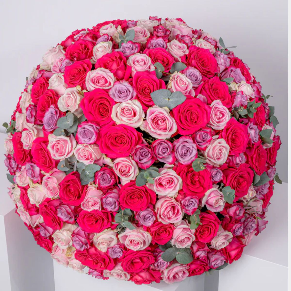 صندوق زهور 365 فيرست بلاش