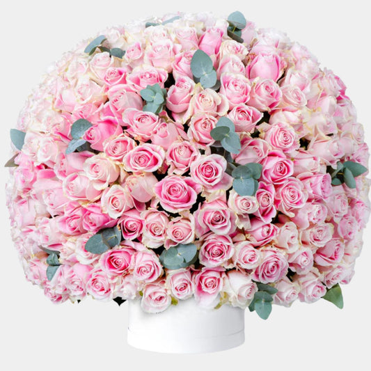 365 Pink Roses Flower Box