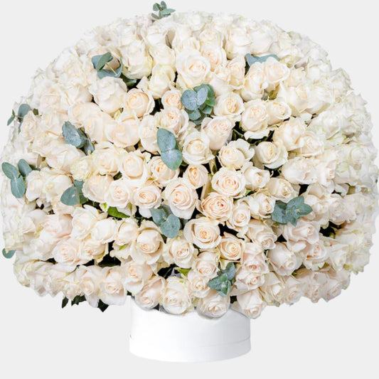 صندوق زهور يحتوي على 365 وردة بيضاء