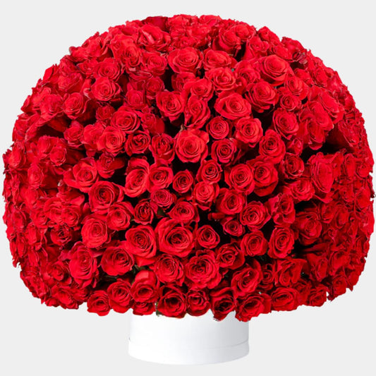 365 Red Roses Flower Box