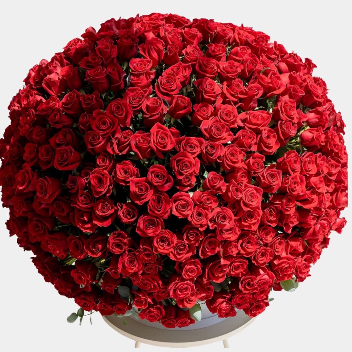 صندوق زهور يحتوي على 365 وردة حمراء