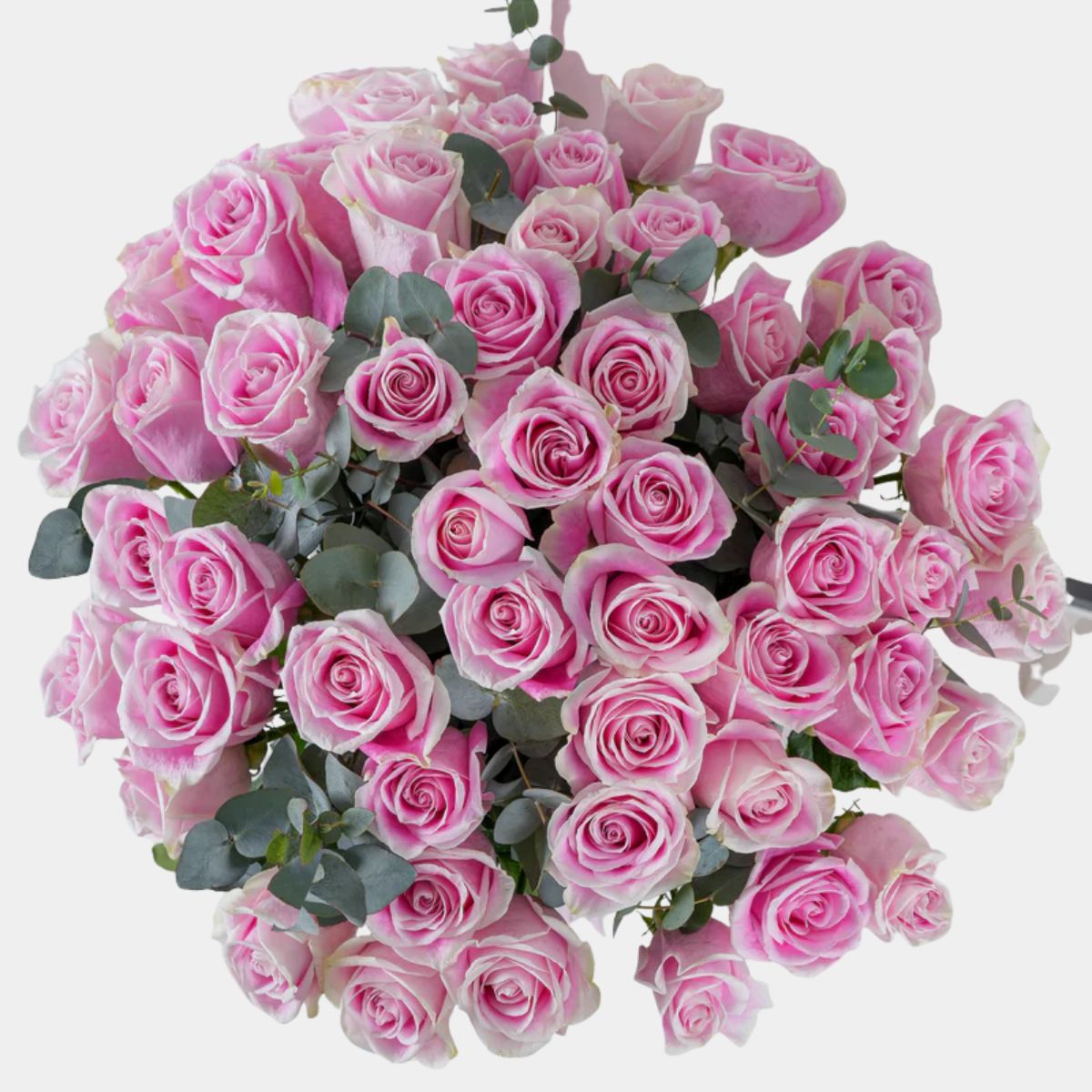 50 Pink Roses Vase