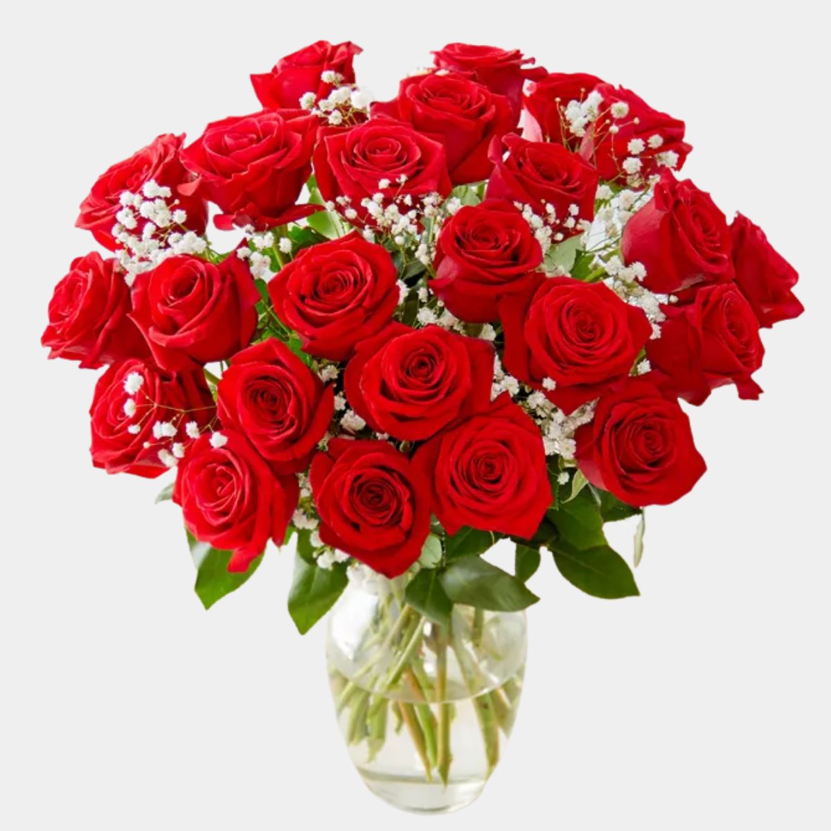 50 Red Roses in a Vase