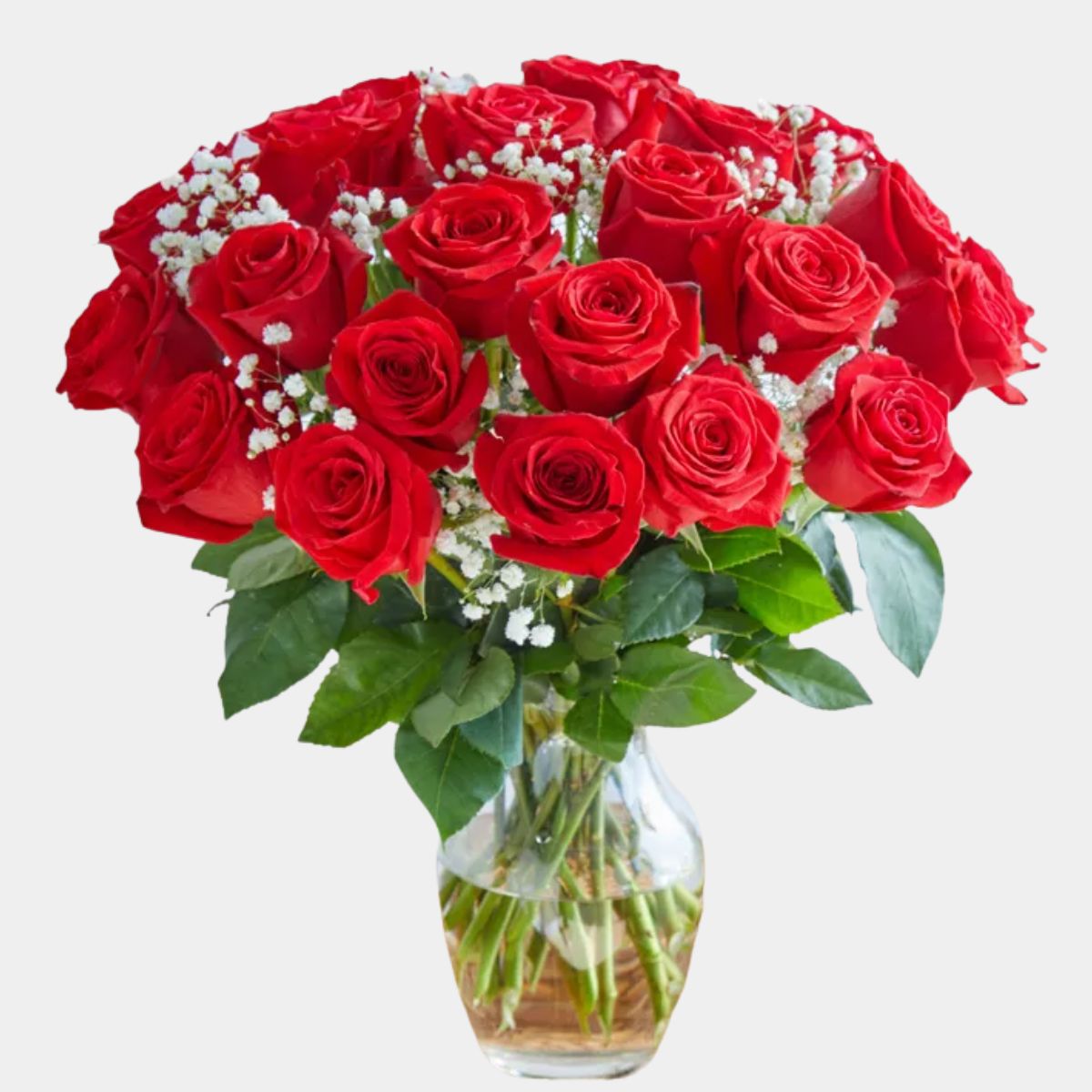 50 Red Roses in a Vase
