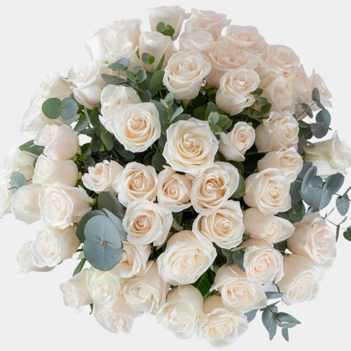 50 White Roses Vase