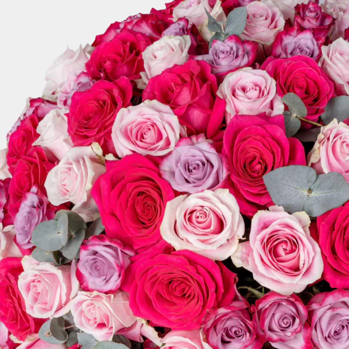 75 Luxury Blush Roses Vase