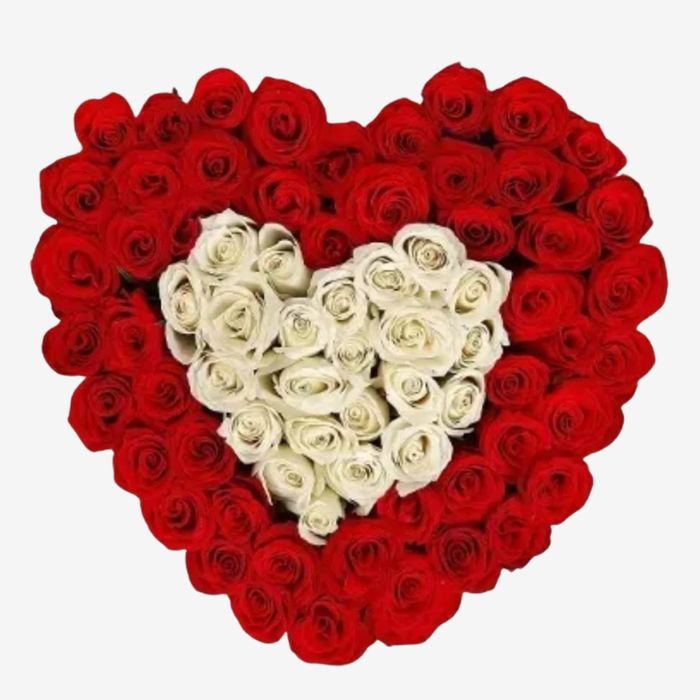 75 Red and White Roses in a Heart