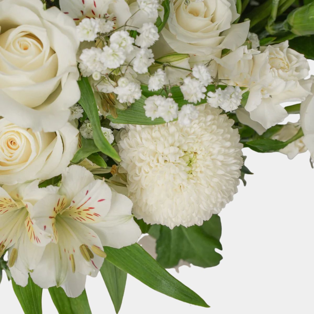 مزهرية فلورا البيضاء