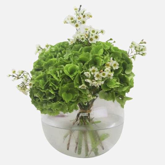 Green Hydrangea in a Vase