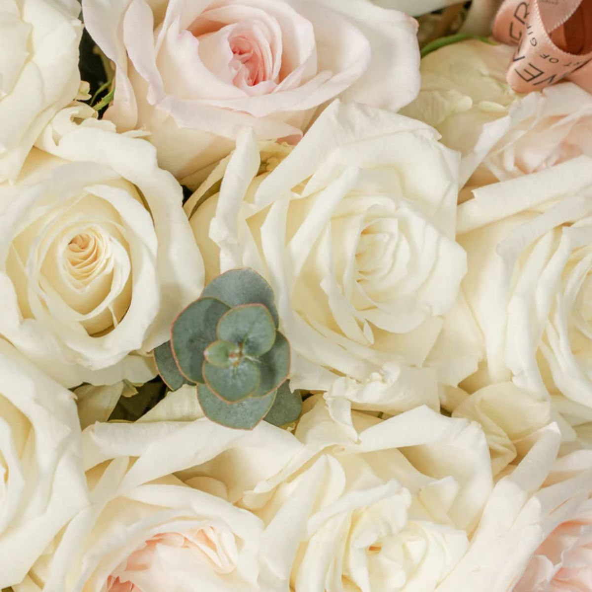 Luxury Perfect White Flower Box