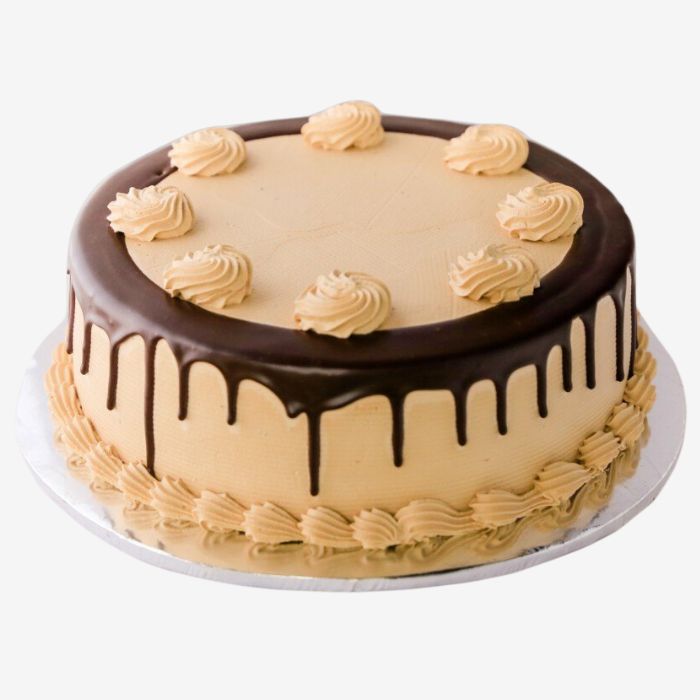 Mocha Flavour Cake