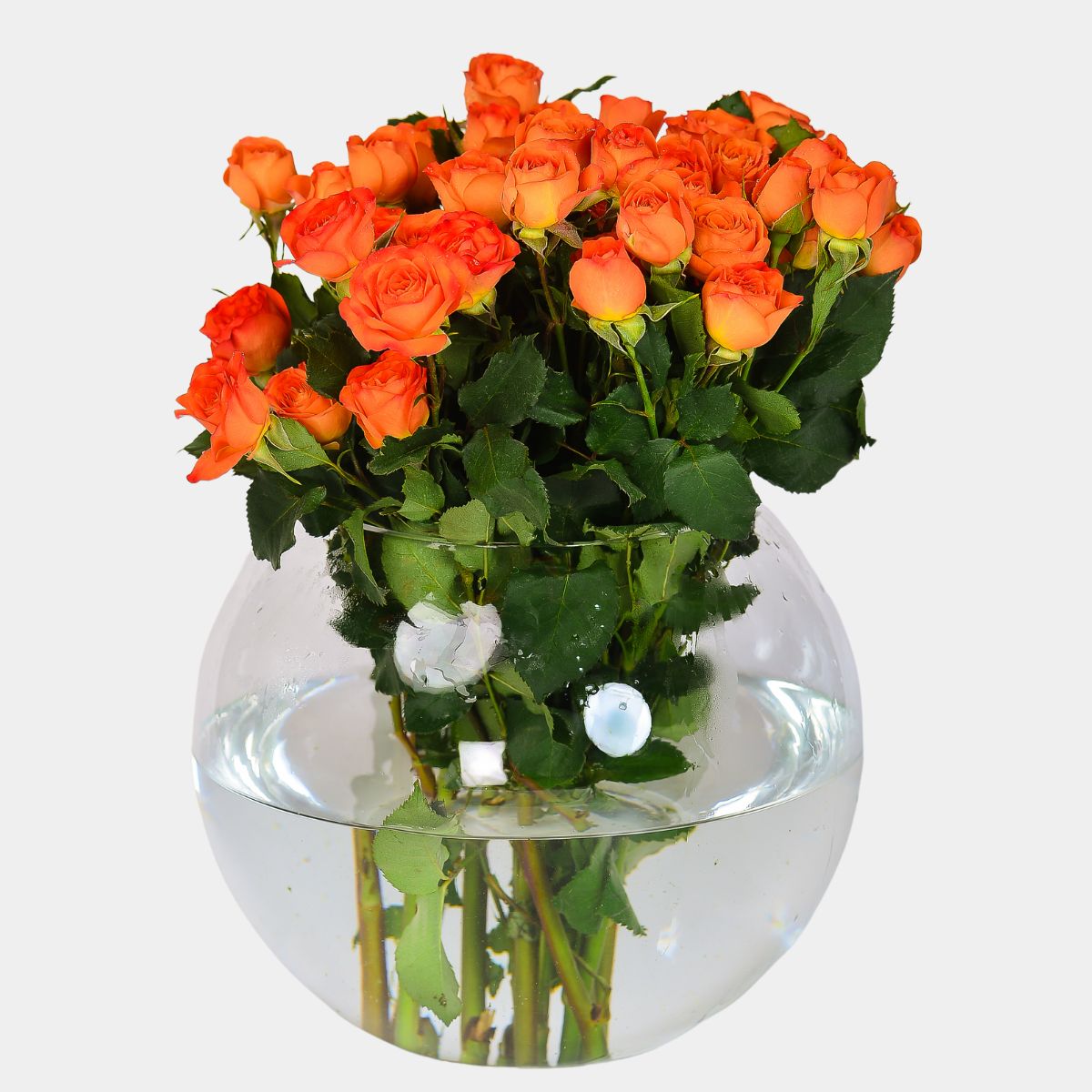 Orange Baby Roses Round Vase