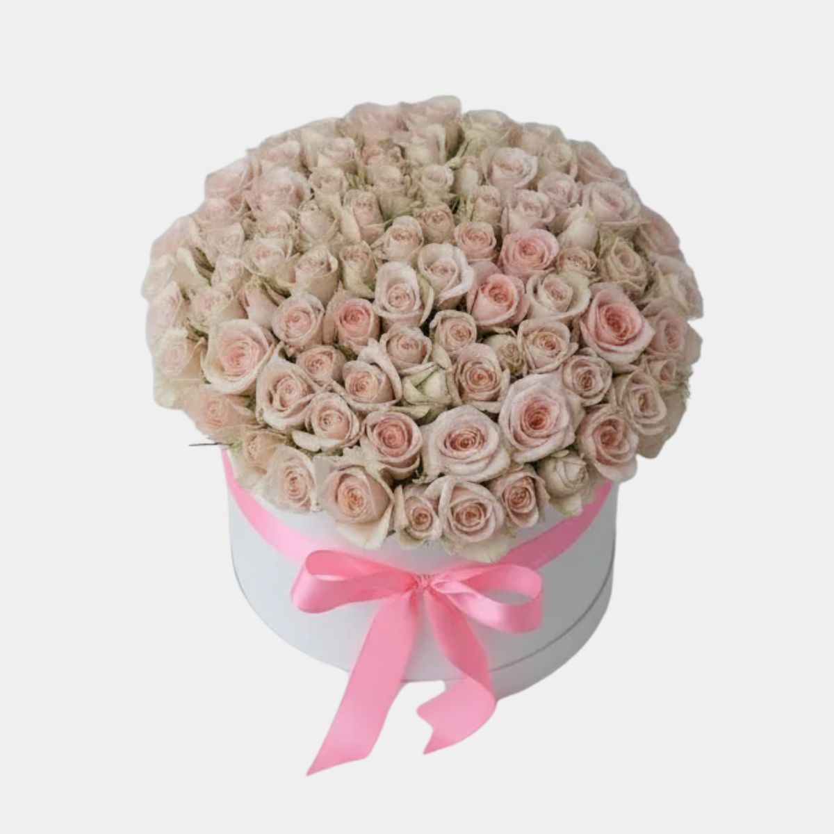 Pink Roses in Premium White Gift Box