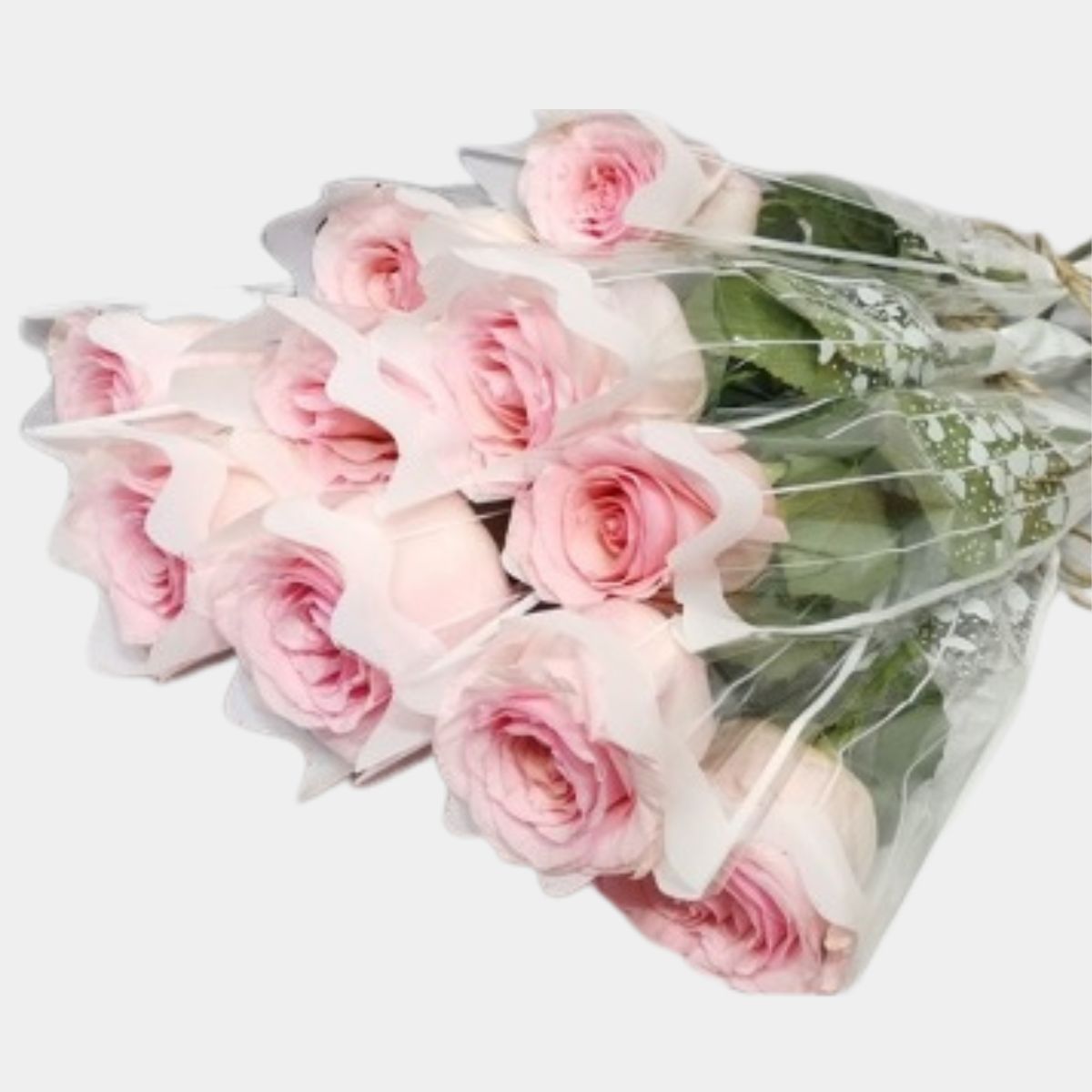 Single Pink Roses