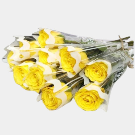 Single Yellow Roses