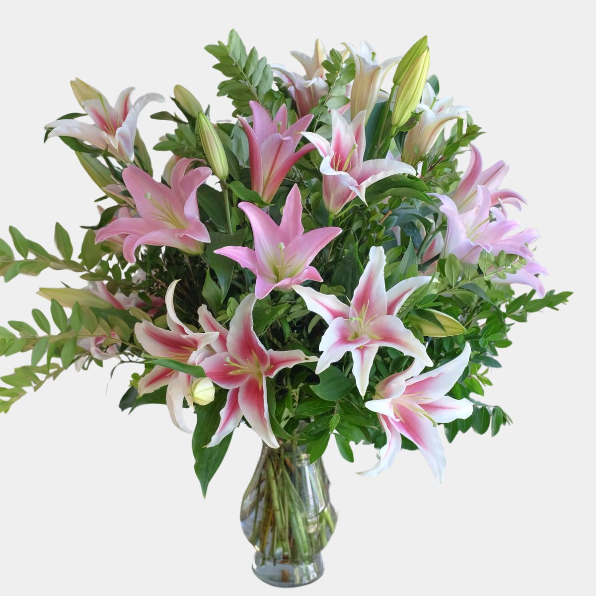 Stargazer Lilies