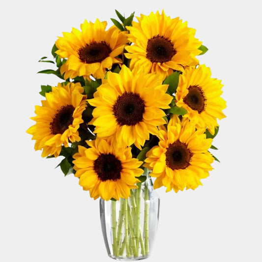 Stunning Sunflowers
