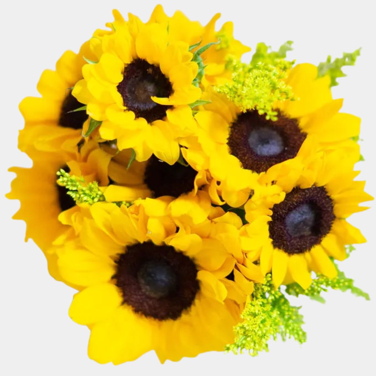 Stunning Sunflowers