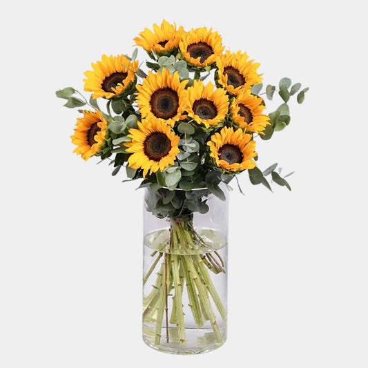 Sun Kissed Sunflowers