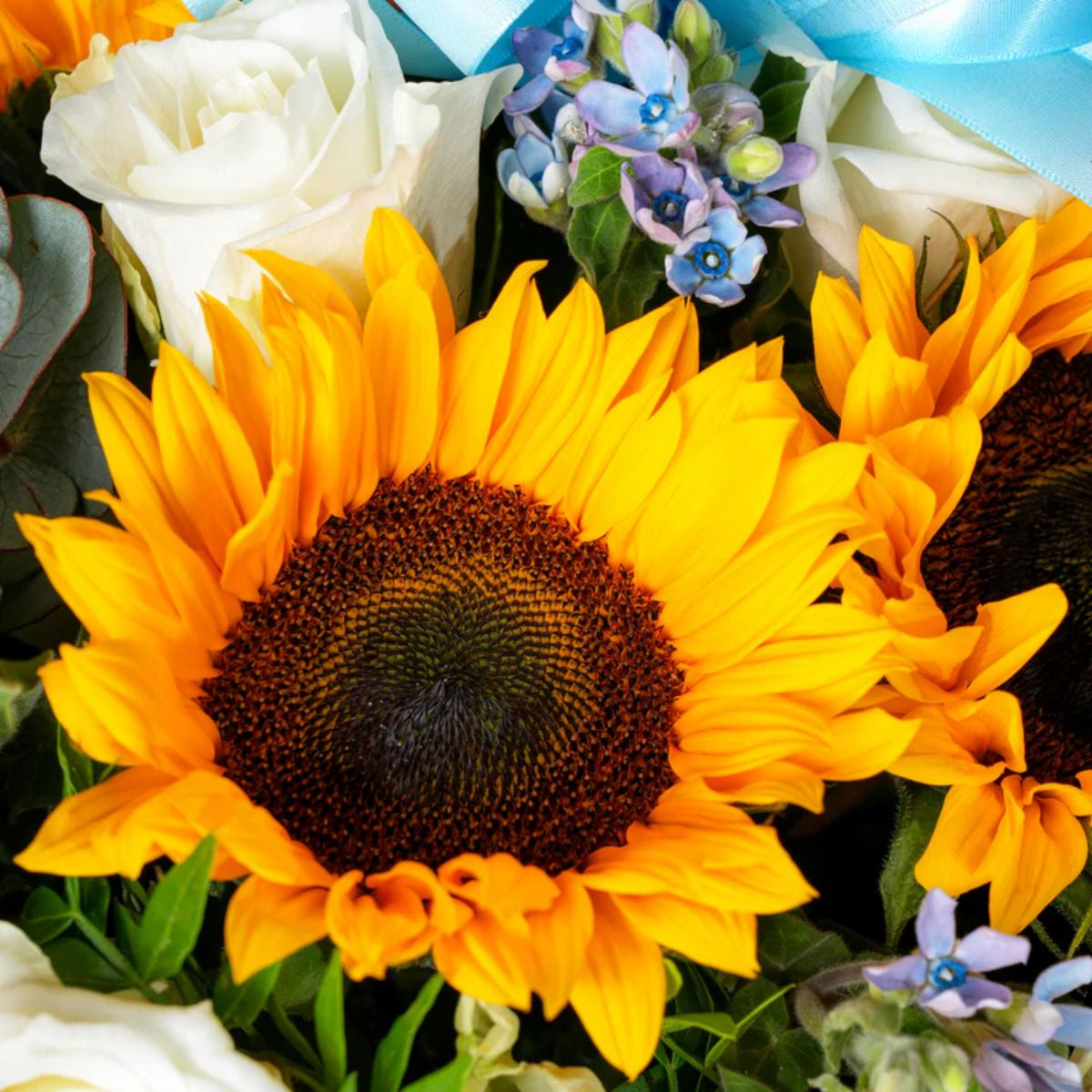 مزهرية زجاجية أنيقة مشمسة