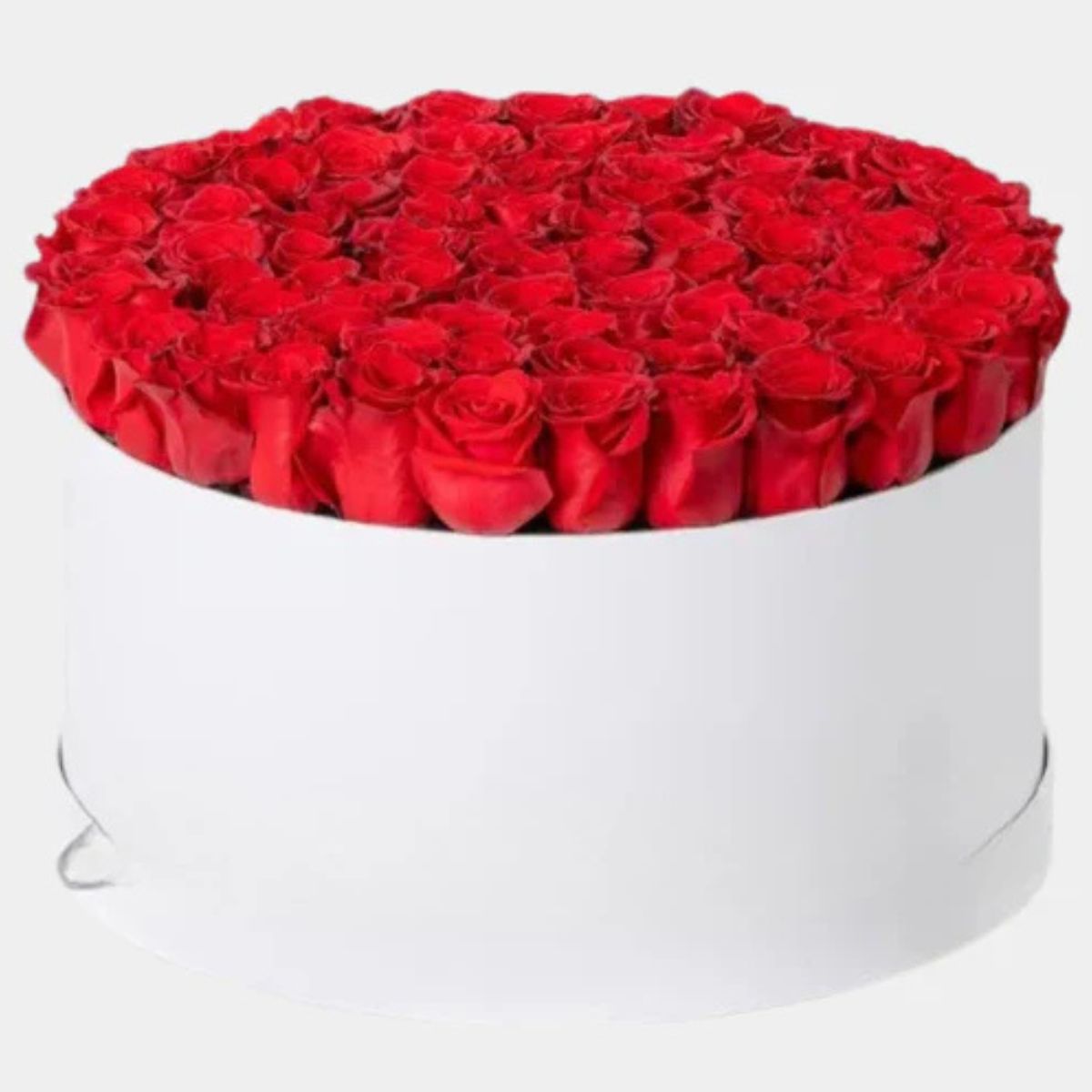 Planter Box Red Roses Red Roses Flower Box | FloraKuwait.com