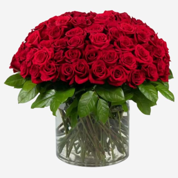 Splendid Red Roses 100 Stunning Red Roses | FloraKuwait.com