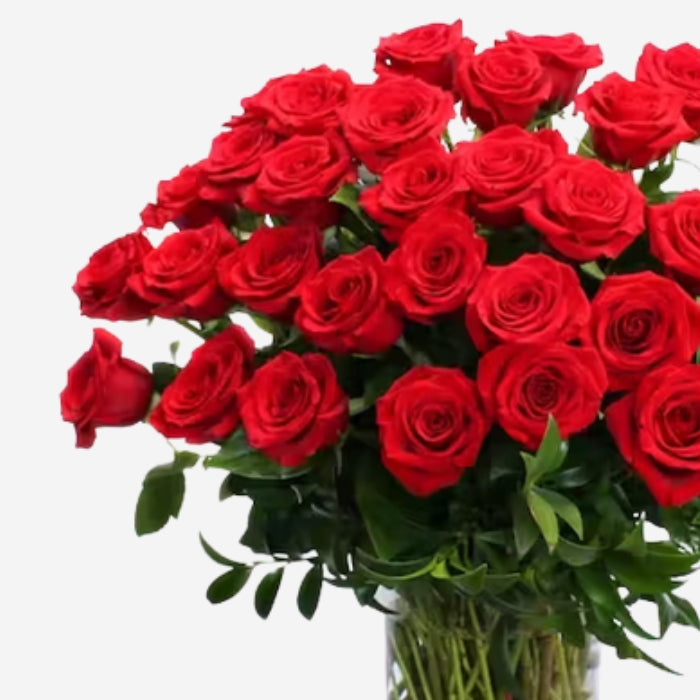 Super Premium Roses Classic Three Dozen Premium Roses | FloraKuwait.com