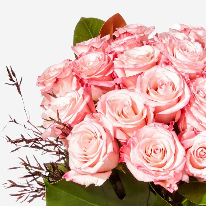 Pink Whisper Rose Bouquet